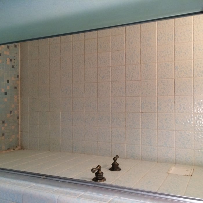 Initial Shower view