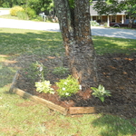 Flower bed