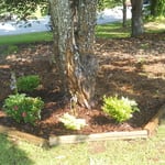 Flower bed with Irrigation