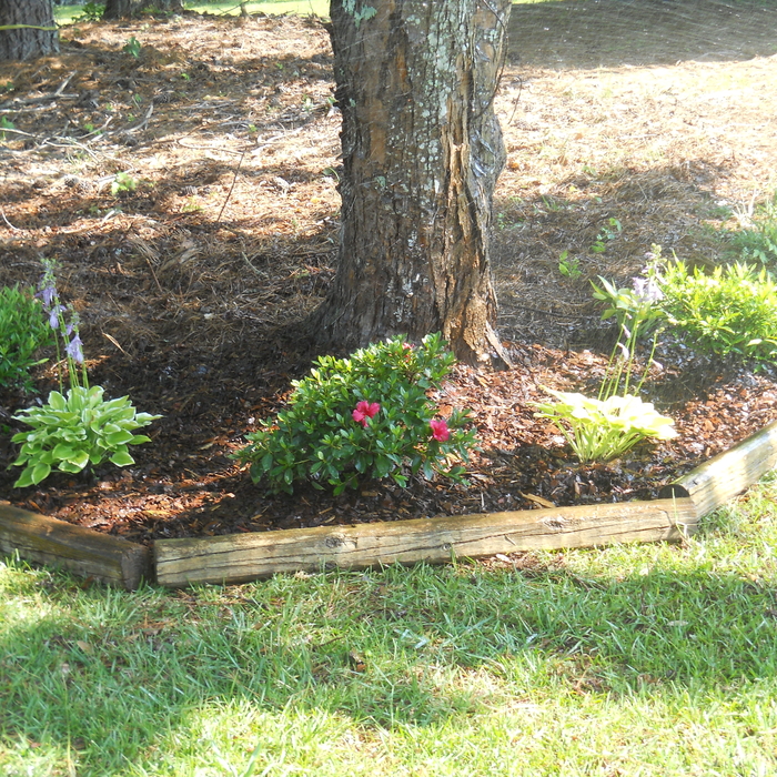 Flower bed
