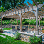 A Backyard Oasis 2