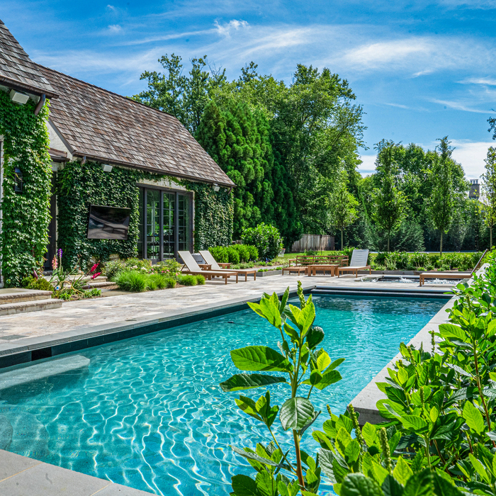 A Modern Garden 1