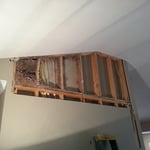 Formosan Termite Damage