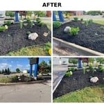 Hotel Landscape Beds