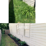 Overgrown Beds