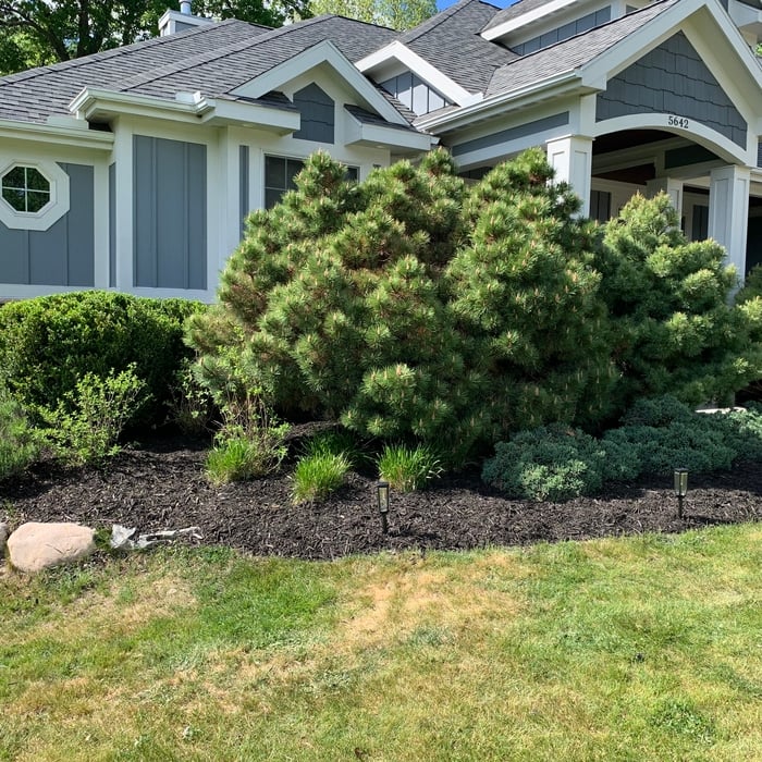 Mulch Refresh
