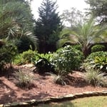 Here there are a variety of plants.