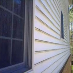 Vinyl Siding Mildew Growth Up Close
