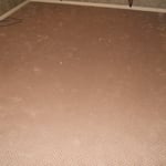 Room of carpet installed. Hoover, Al.
