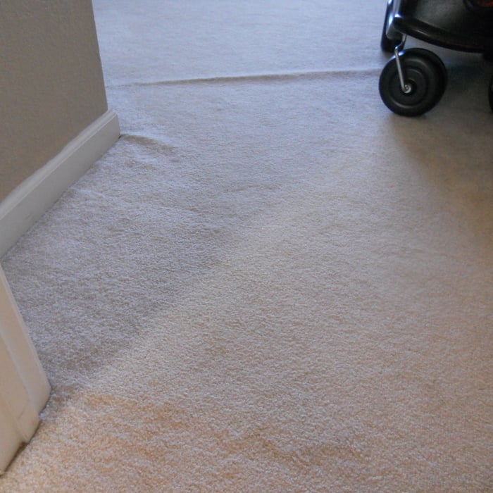 Carpet wrinkled before restretch. Warrior, Al.