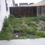 Another View of Existing Backyard
