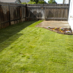 Newly Transformed Backyard!