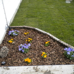 Added Planter Box With Flowers...Nice!!