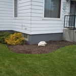 Pre Planting Bed