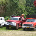 tripi tree & landscaping