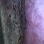 Before Crawl Space - Mold on Joists