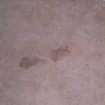 before (family room)