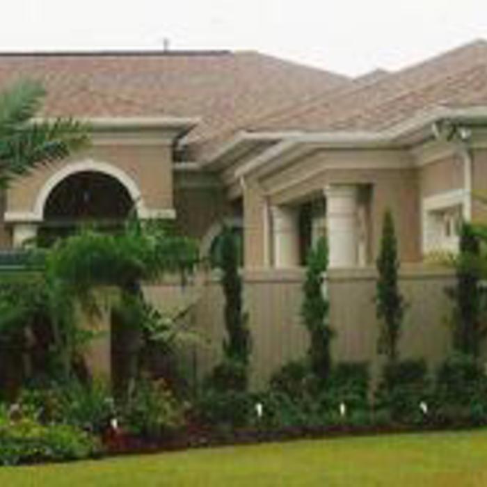 tropical design