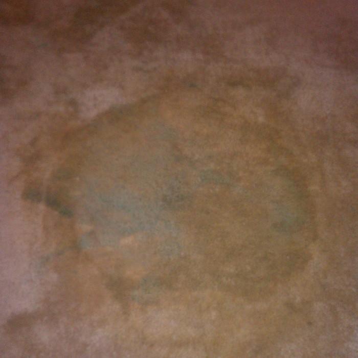 paint stain damage