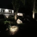 Highlights stone on house and landscaping