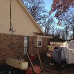 Pest Infestations-Various