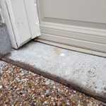 Pest Infestations-Various