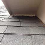 Pest Infestations-Various