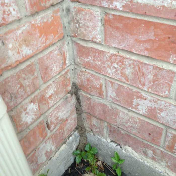 Pest Infestations-Various