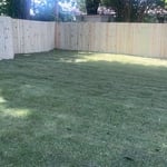 Fence and grass laying
