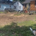 Tree removal and cleanup