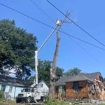 Tree removal and cleanup