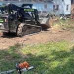 Tree removal and cleanup