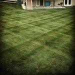 Residential Lawn Mowing