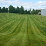 Commercial Lawn Mowing