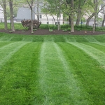 Residential Lawn Mowing