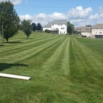 Residential Lawn Mowing