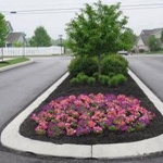 Median