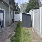 Yard clean up