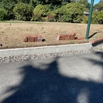 Landscaping Projects