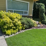 Landscaping Projects