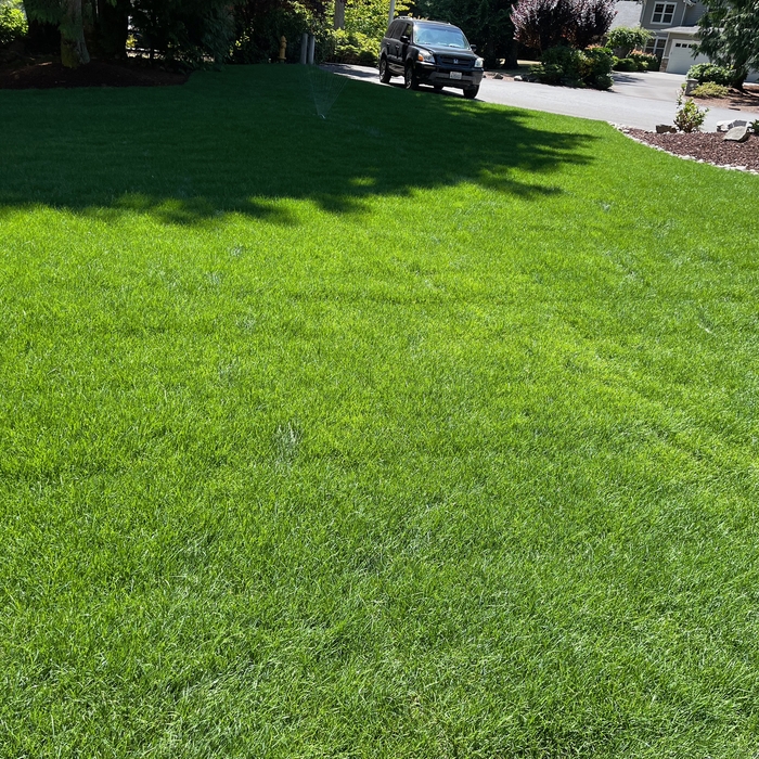 Landscaping Projects