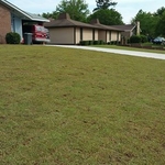 All sod is out