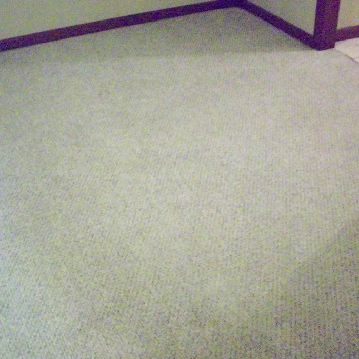 Aquarium Room Restore