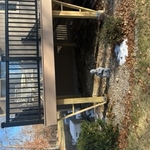 Deck Rebuild