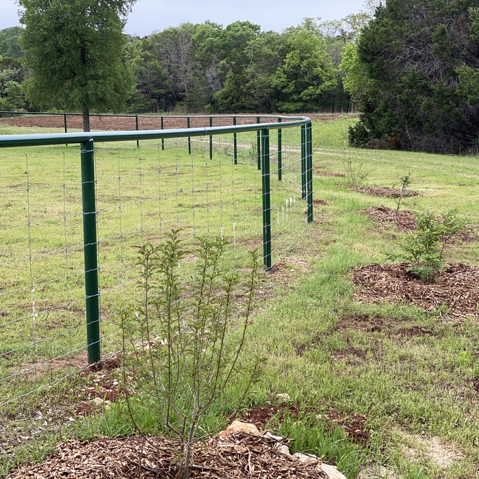 Fence Projects