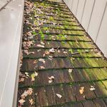 Wood shake cleaning