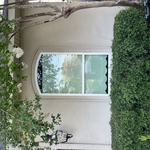 Full Window Replacement