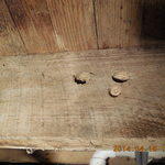 Oak Floor Joist - After