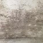 Bath Ceiling - Before