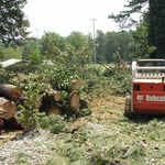 Clear Cutting Job